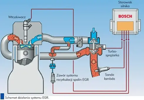 egr_schem