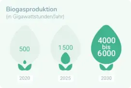 Biogas Produktion