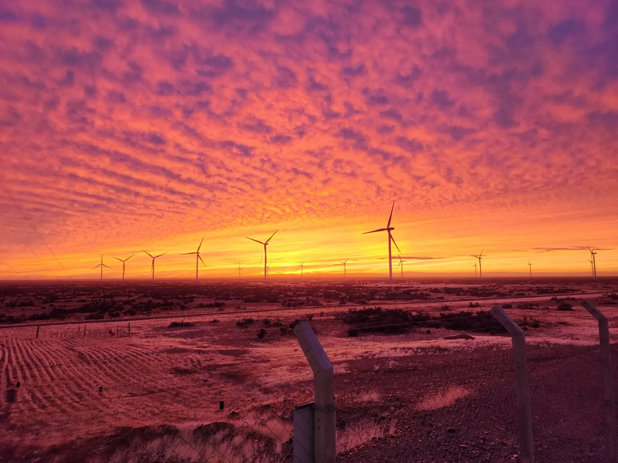 parque vientos energia renovable