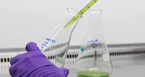 Schmierstoffe in der Chemie