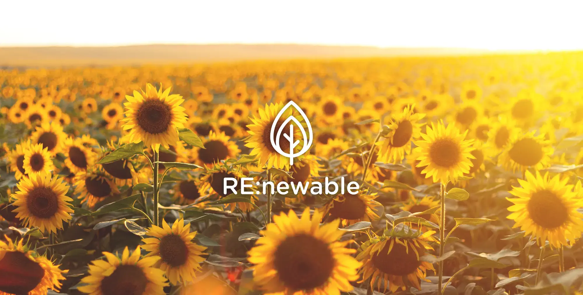 renewable