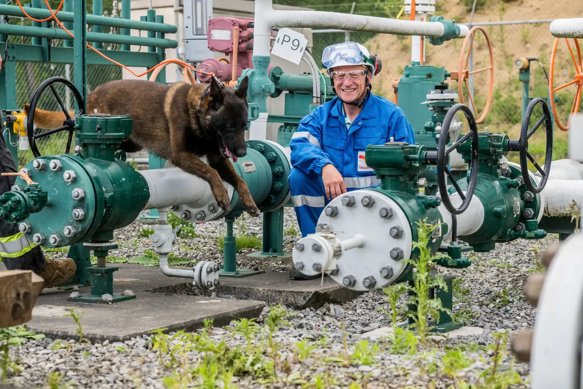 hondtotal_driesluyten-11 (1)