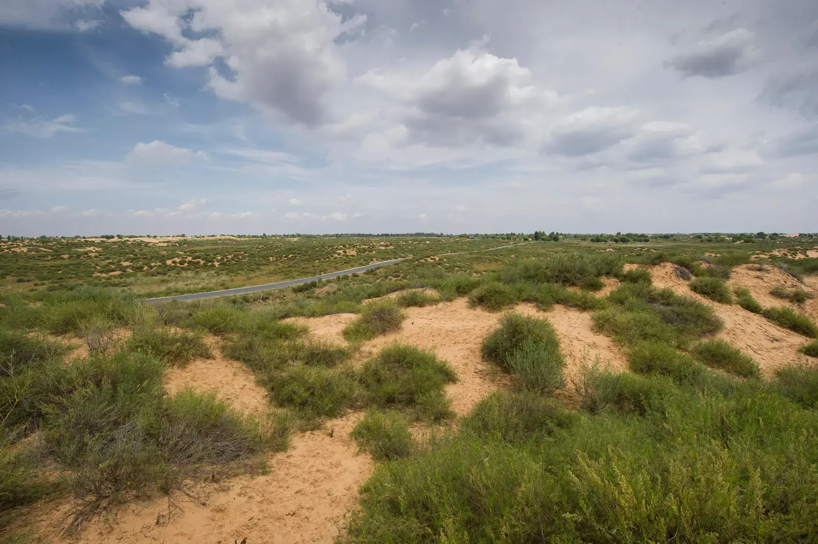 Sand dunes and savanna around the Sulige South gas field, China.