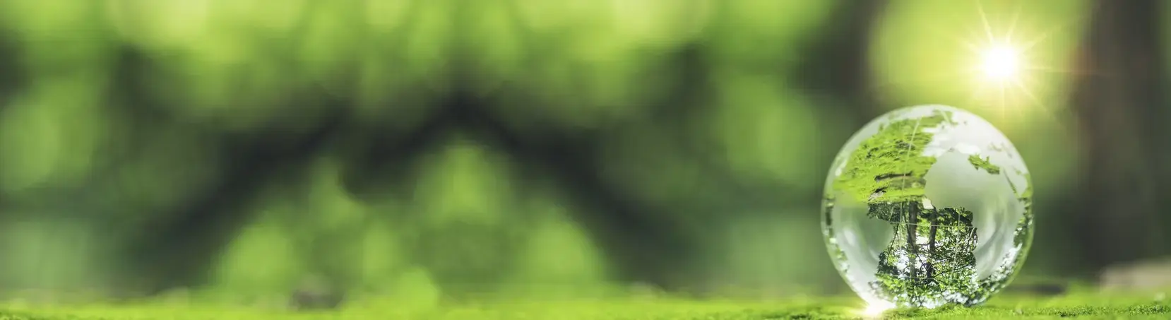 Blurred green leaf background with clear globe sitting on moss to the right