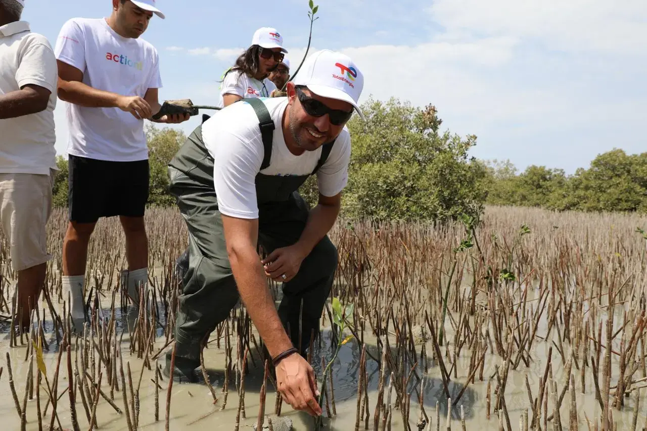 Marsa Allam Mangrove Plantation