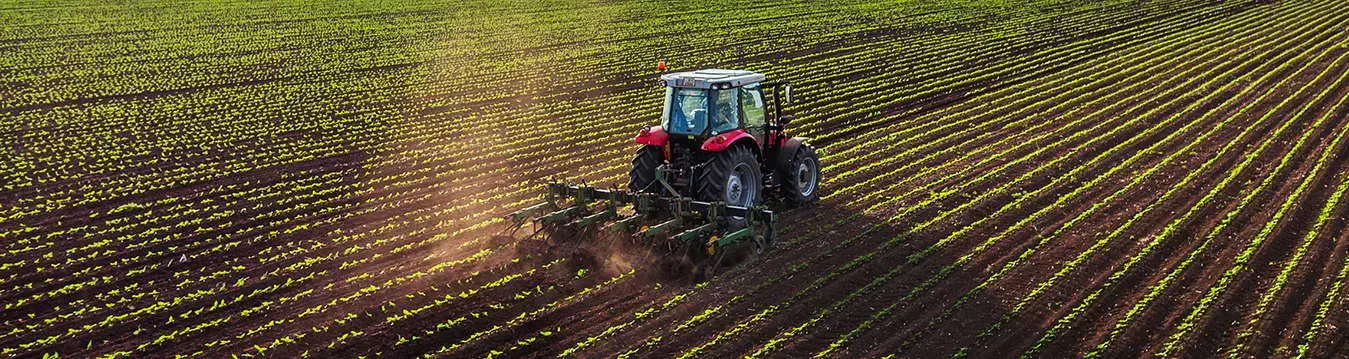 Traktor auf einem Feld