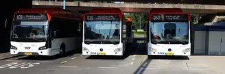 Header - groengasbussen.jpg