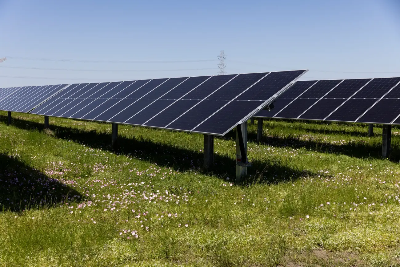 Danish Fields Solar Farm (Texas, USA)