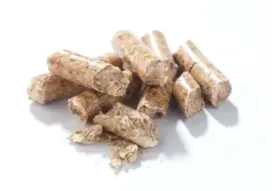 49310_pellet_E1C.png