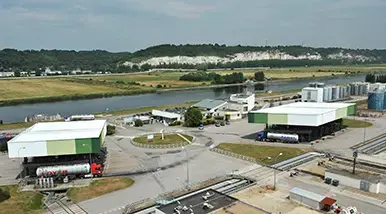 oudalle plant
