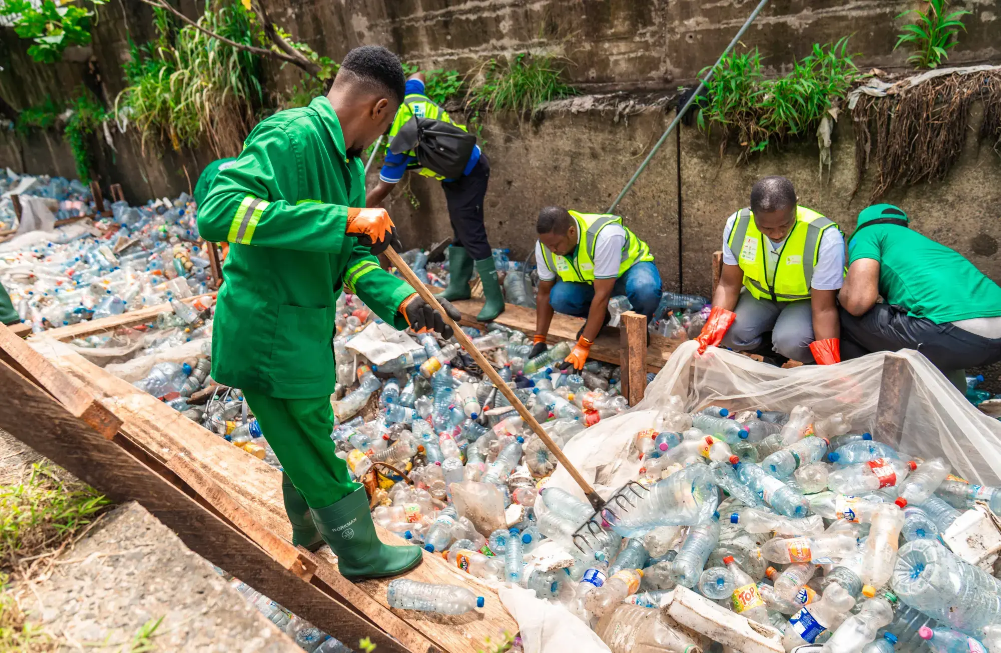 Journée mondiale de l'environnement 2025