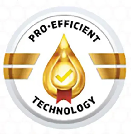 news_2025_01_08_pro_eff_logo