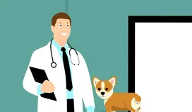 vet