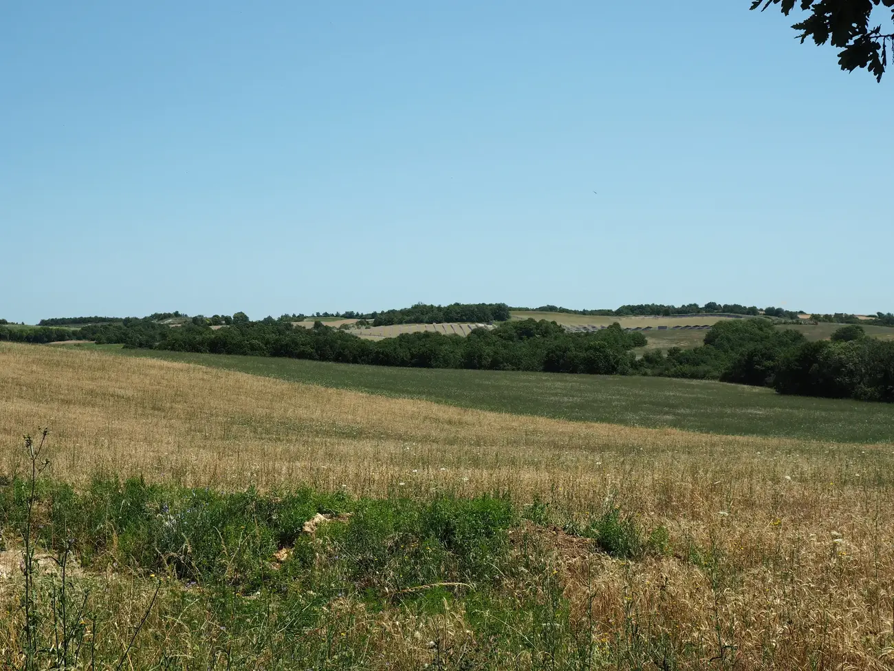 Phomontage 5 du projet agrivoltaïque Combe Cave