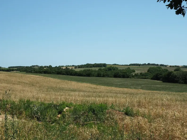 Vue du paysage pour le projet agrivoltaique de combe cave