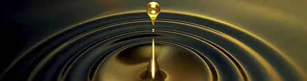 Todo sobre aceites