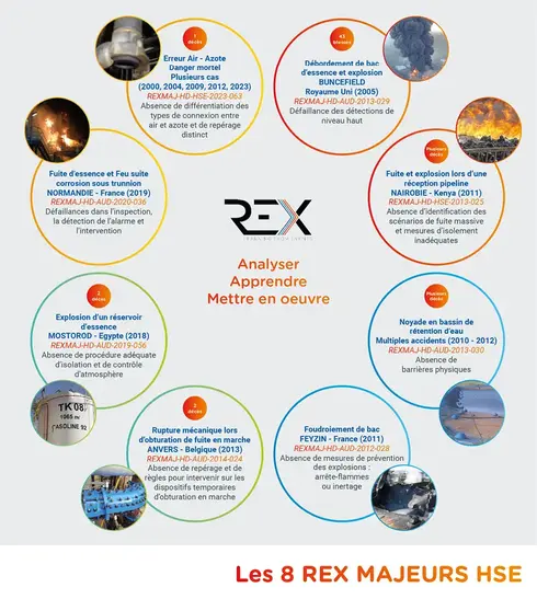 Vignette 8 rex majeurs hse fr