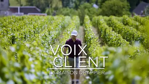 la voix du client