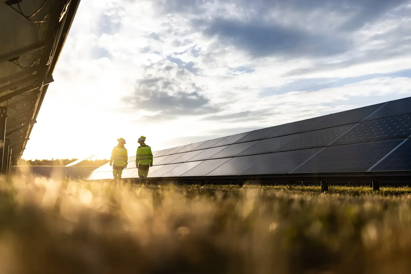 TotalEnergies Renewables Services Italia srl Solar Field, Italy