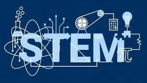stem educator immersion program