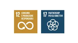 SDGS 12 e 17