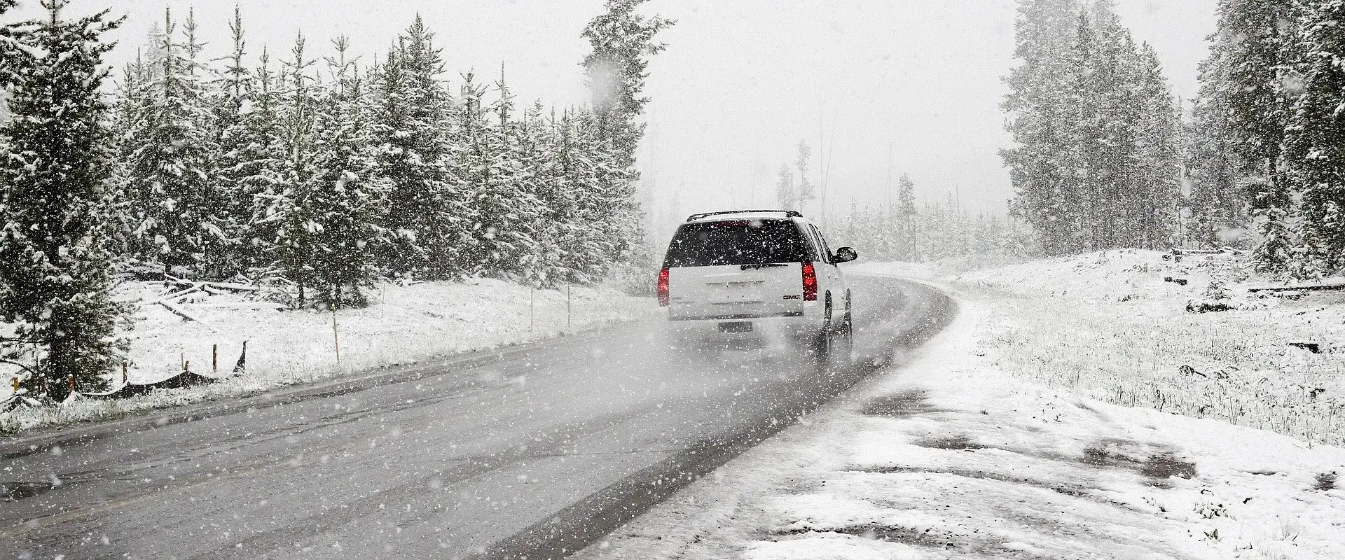 image_processing20250204-9-2dq2tc