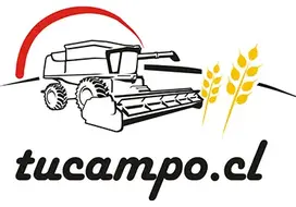 tucampo.cl