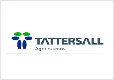 Total Chile