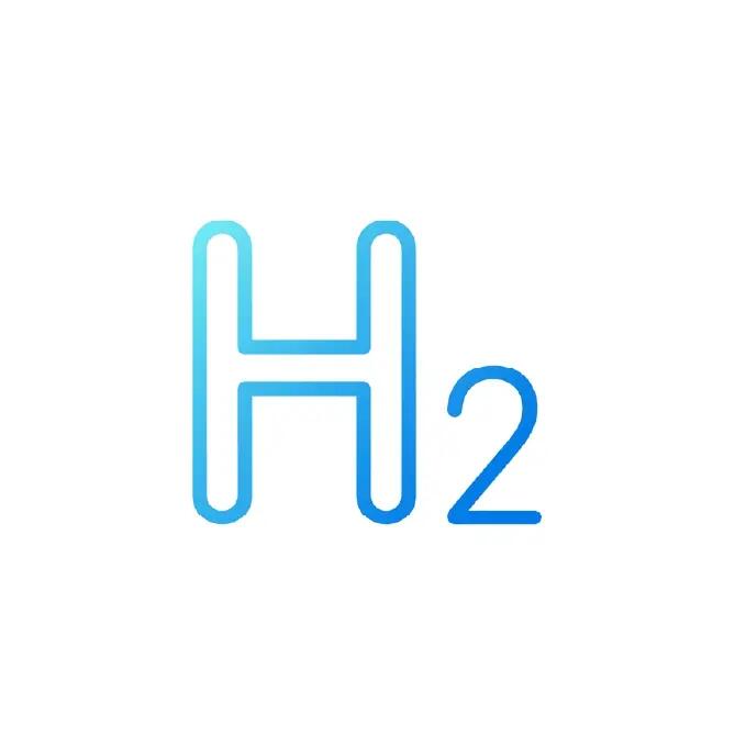 h2 icon