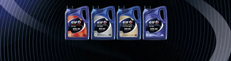 cover_elfevolution