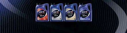 cover_elfevolution