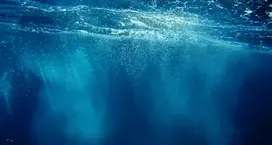 TotalEnergies Rengöringsoljor - en effektiv olja der löser upp gamla avlagringar och smuts i motorer. 