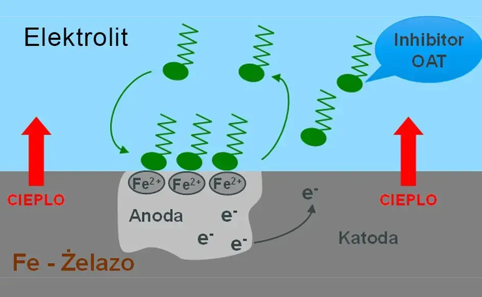 image_processing20251215-8-8w2i5j