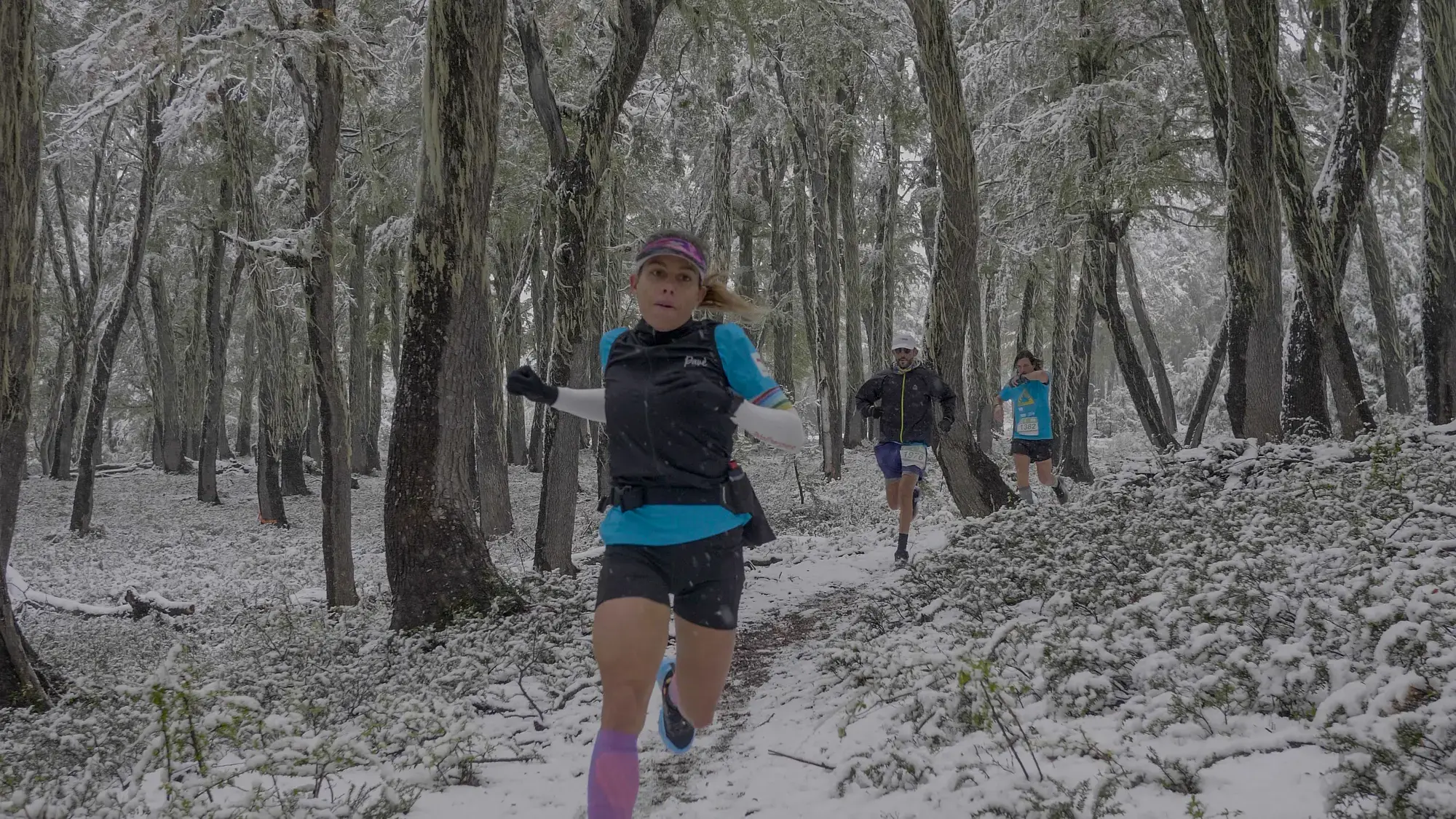 TotalEnergies Patagonia Run Ultra Trail Non-Stop Latinoamérica Deporte Running Atletismo Sponsoring La Energía Que Nos Mueve Cambio De Aceite Aceite De Motor Quartz Lubricantes