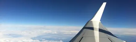 wing