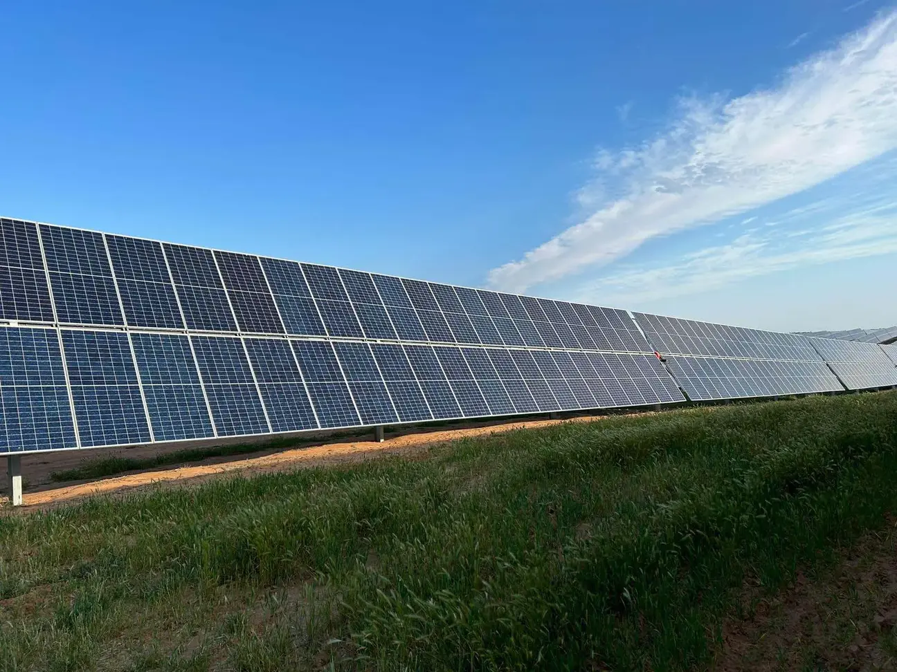 Kiamal Solar Farm & Syncon