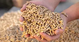TOTAL Premium Pellets