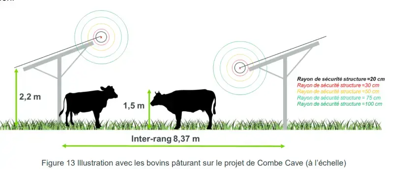 Illustration avec les bovins pâturant sur le projet Combe Cave (à l'échelle)