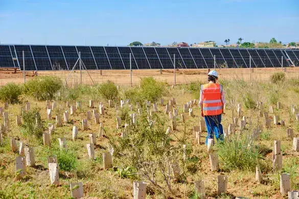 Persona con casco y chaleco reflectante naranja observa a lo lejos un parque fotovoltaico.