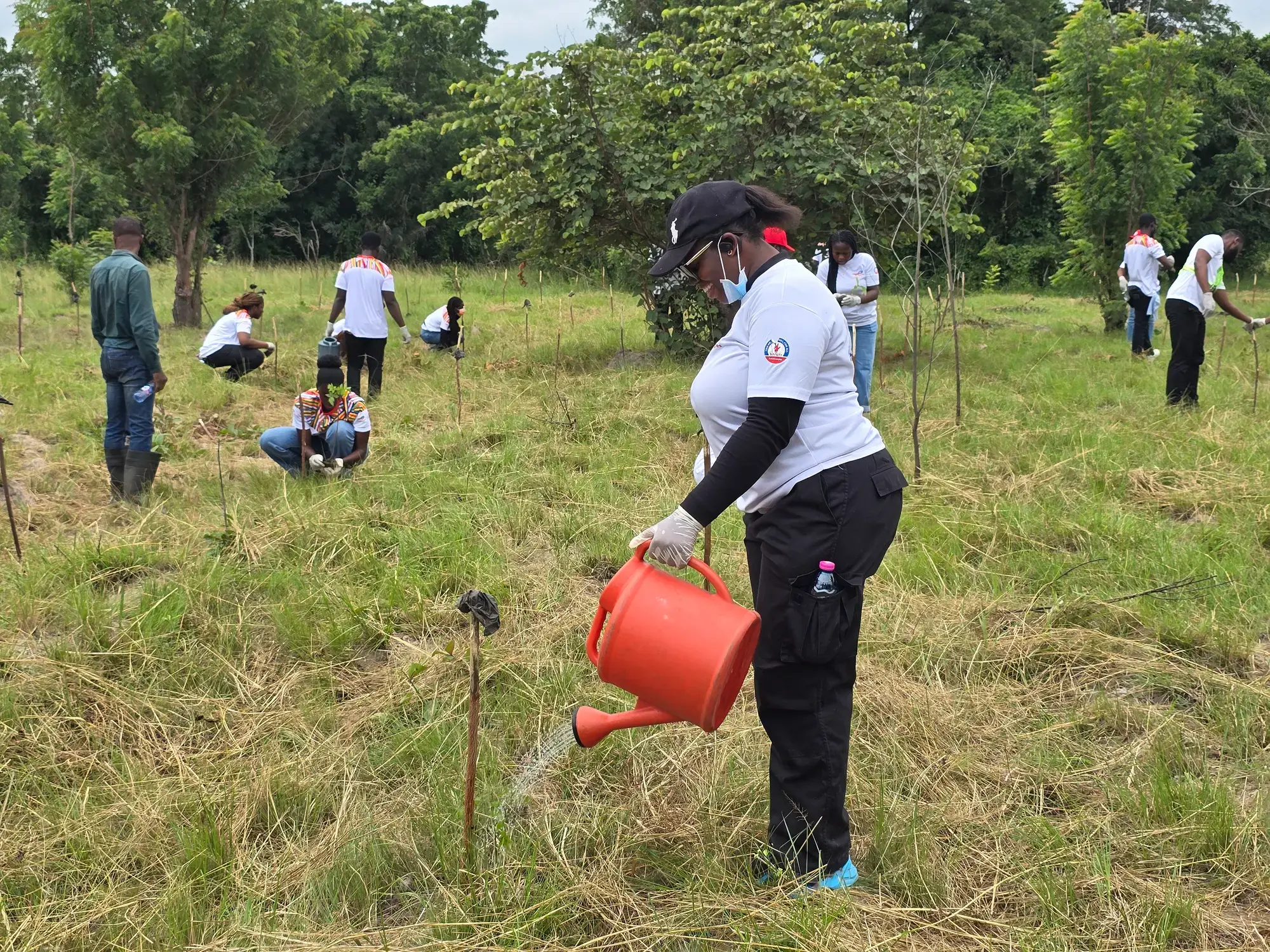 Green Ghana