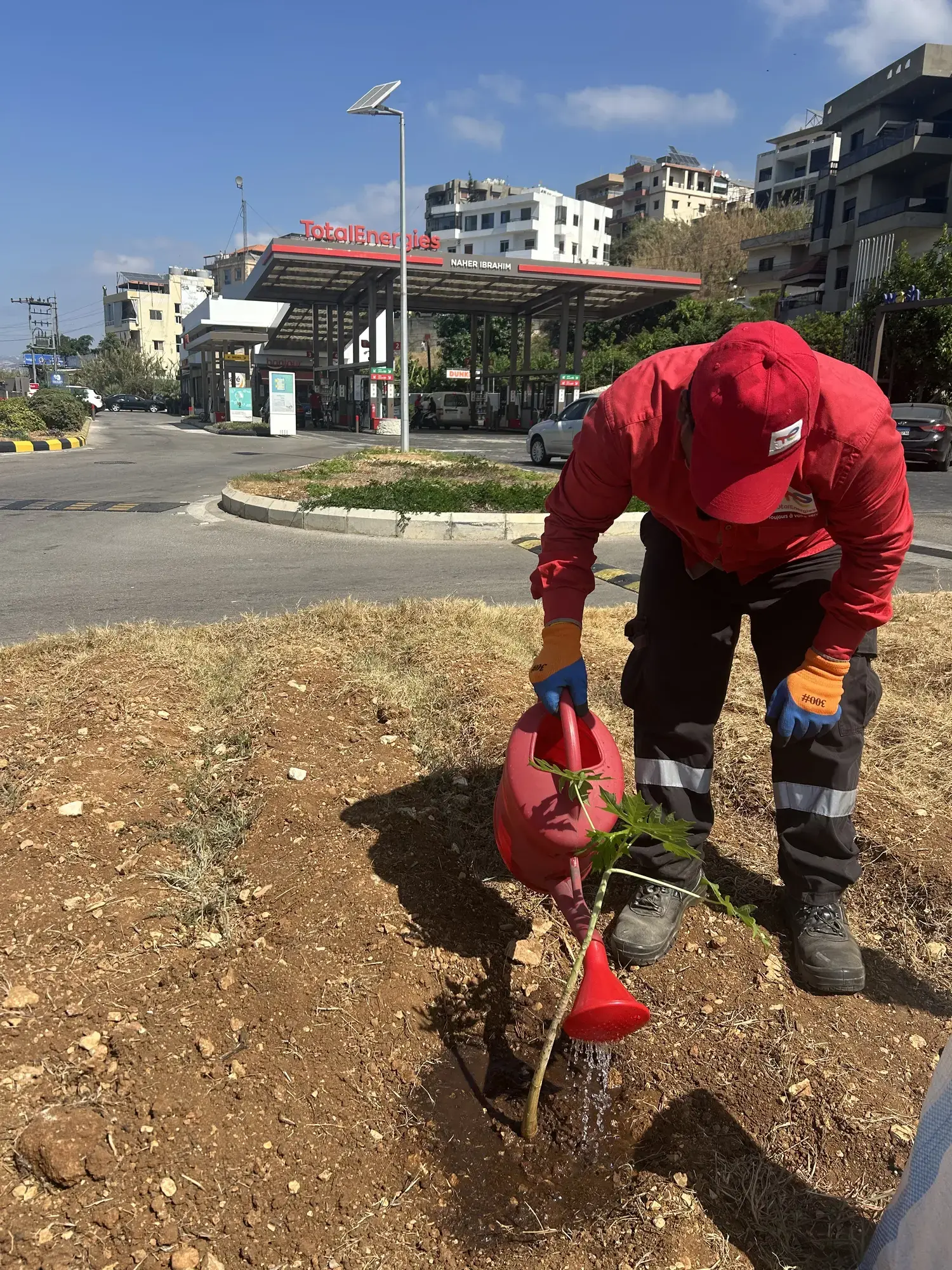 Plantation Project 2025