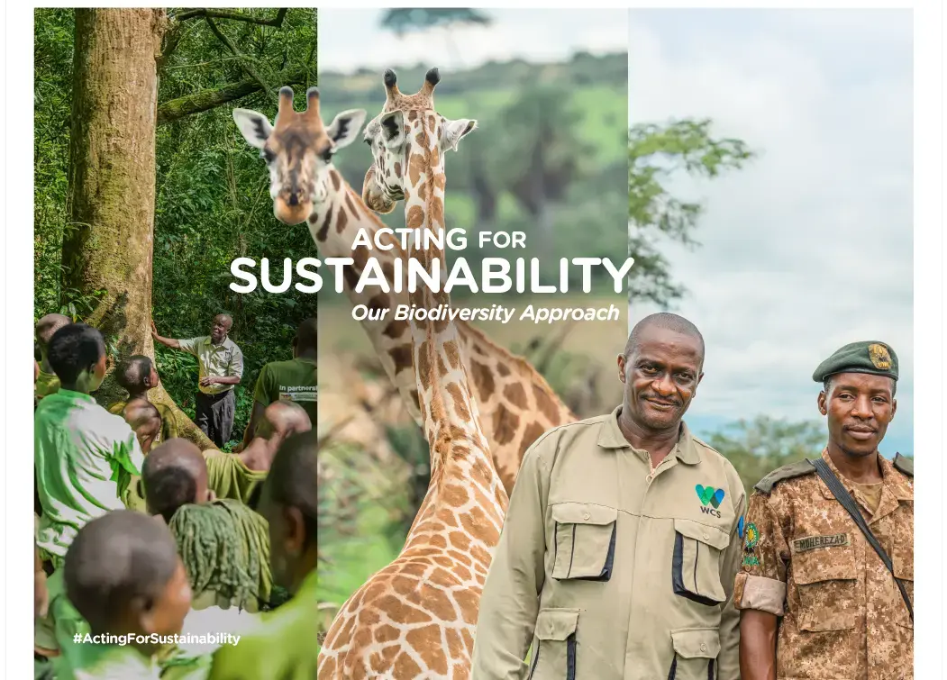 Acting For Sustainability-KV