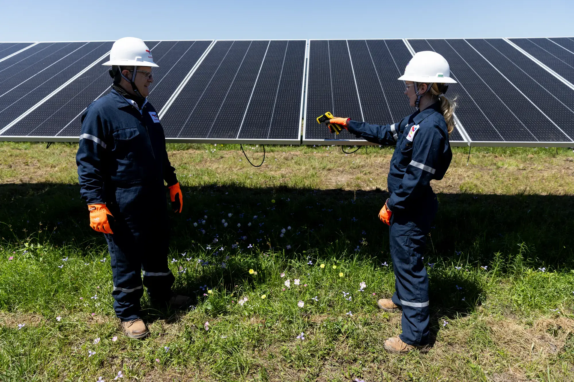 Danish Fields Solar Farm (Texas, USA)