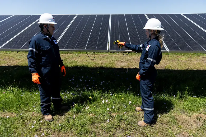 Danish Fields Solar Farm (Texas, USA)