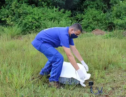 proteção de espécies e habitats