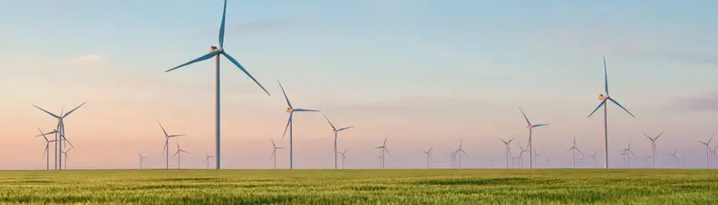 Image of a group of wind turbines over a meadow.