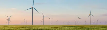 Image of a group of wind turbines over a meadow.
