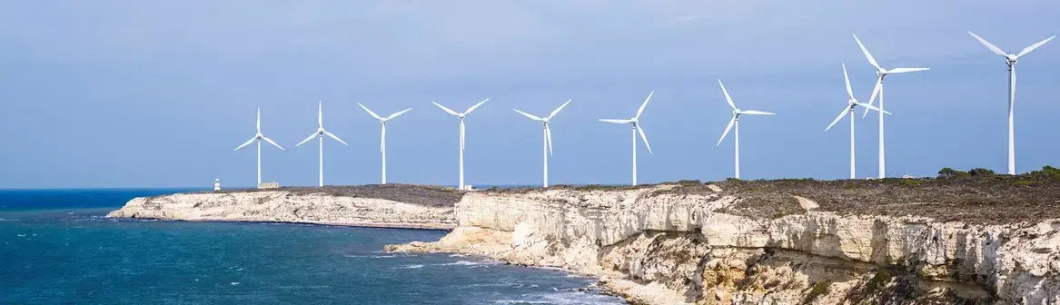 An image of wind turbines on a coastline.