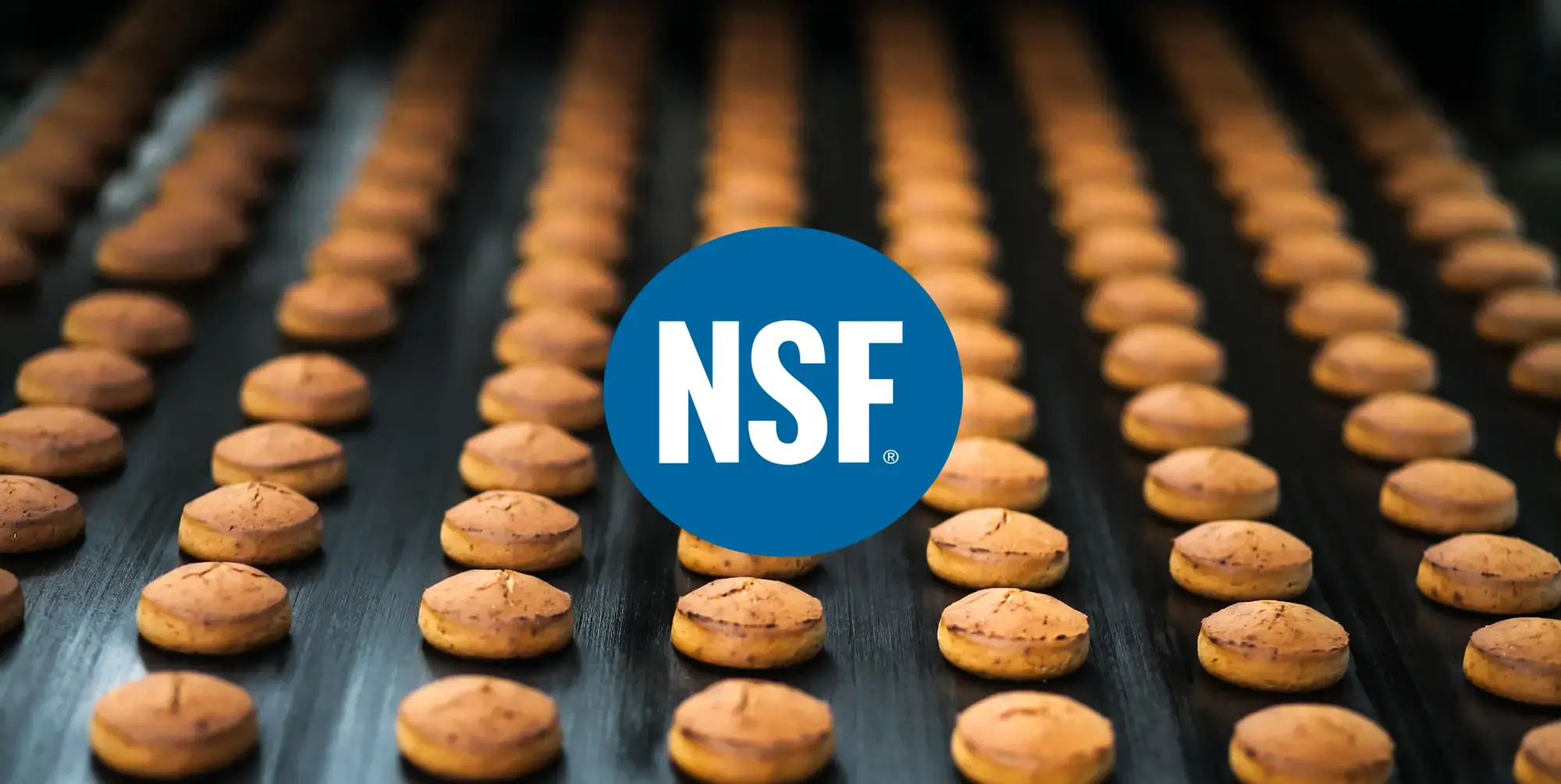 NSF edito horizontal XXL