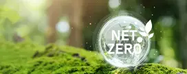 Net Zero Green